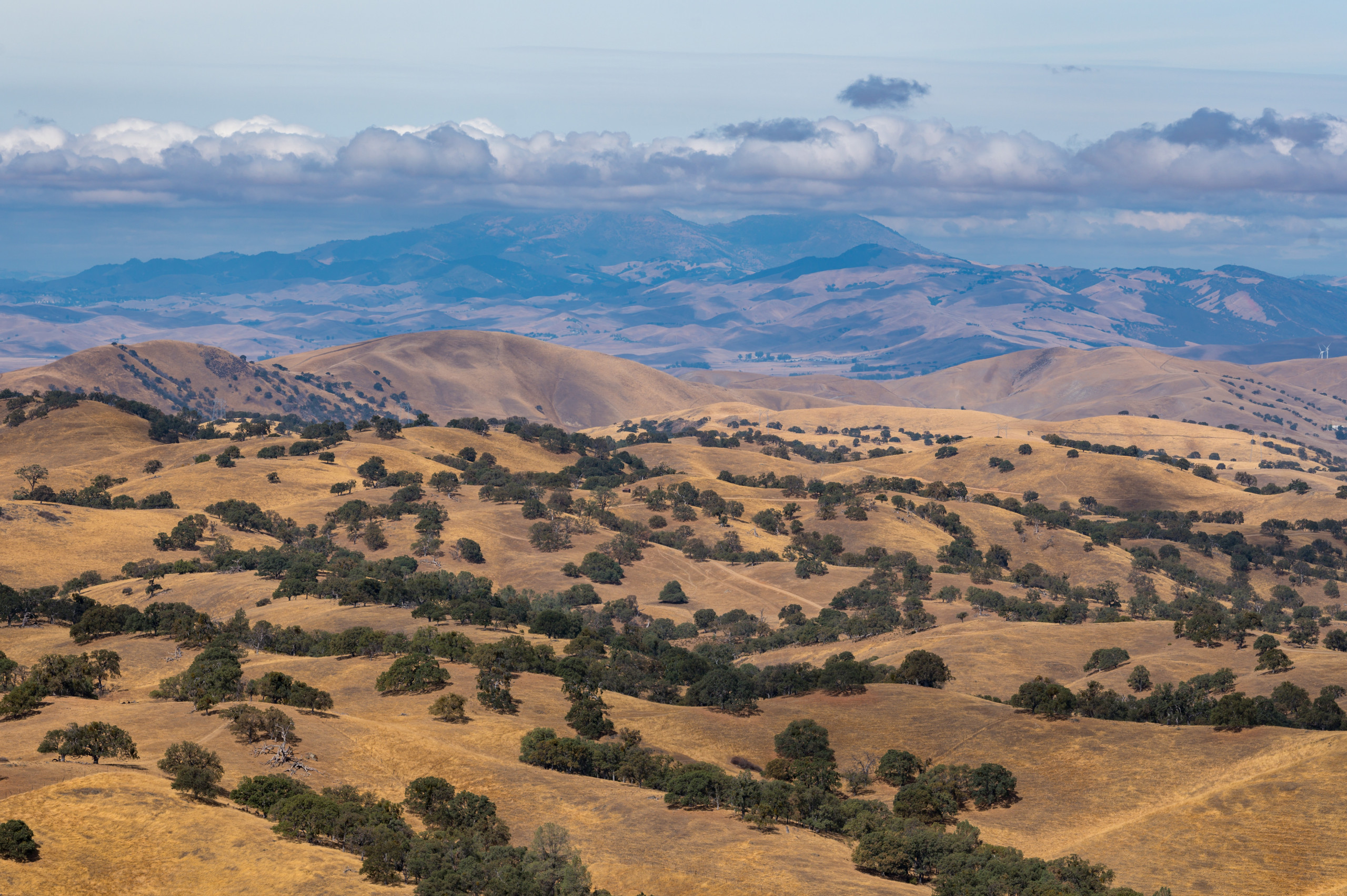 Connolly Ranch: How 5 Generations of Ranchers Have Defended a Major ...