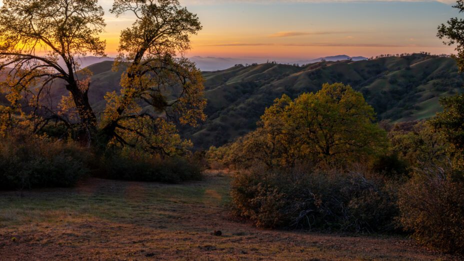 Sunset behind trees in the Ohlone wilderness