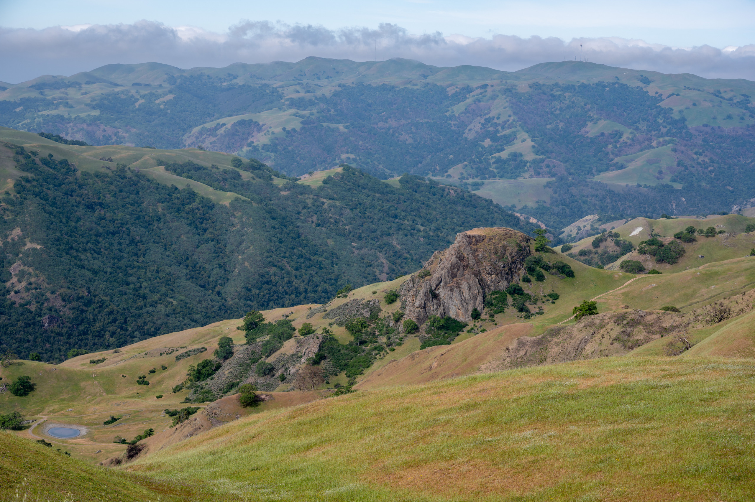 Ohlone Wilderness Regional Preserve Murietta Falls Save Mount Diablo