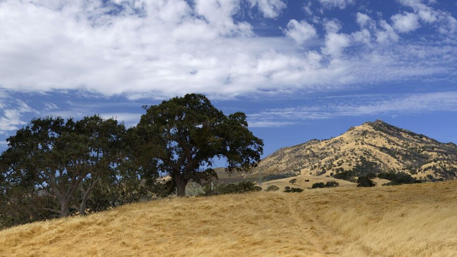 Home Save Mount Diablo - D22a5b665a509b31d661860246d09308 BmFKwA.tmp 928x522 