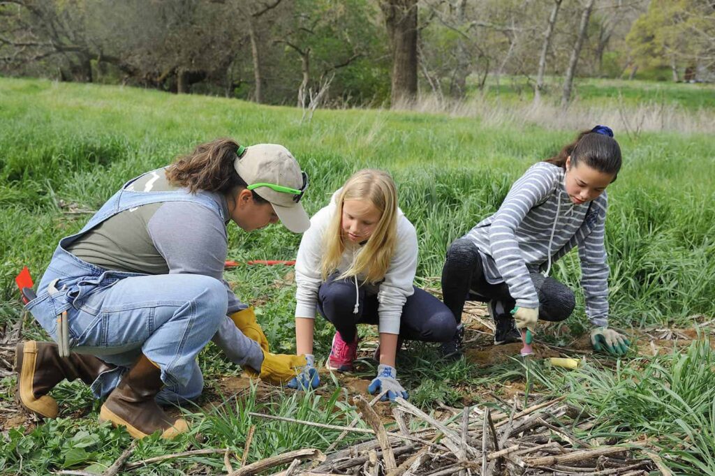 SMD staff working with JMIS students to plant native grasses at Big Bend