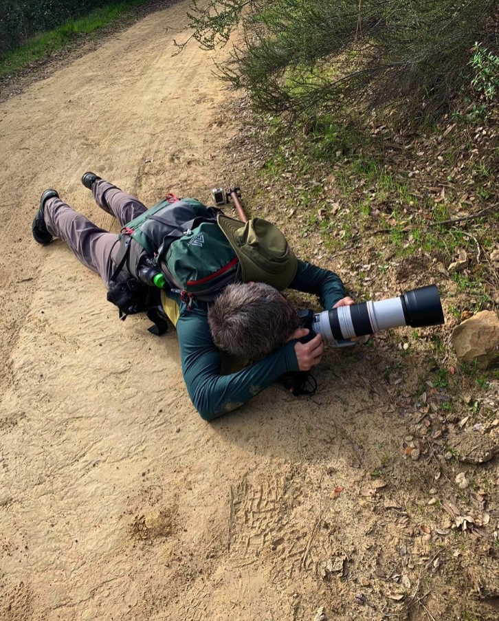 Photographer lying down on the ground, taking a shot of peregrine falcons