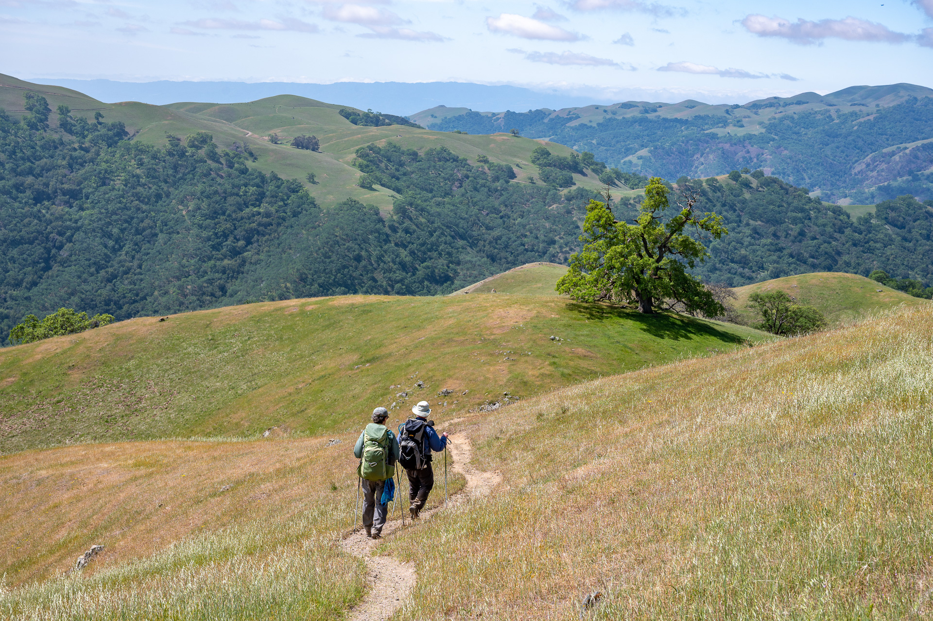Two Hikers walking in the sunol regional wildernesss