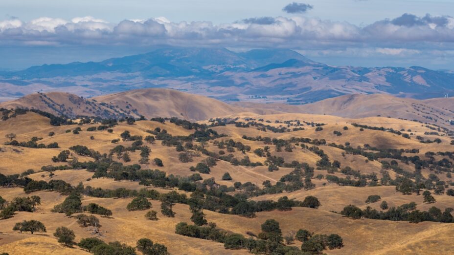 Mount Diablo appearing from Connoly Ranch