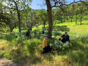 Volunteers doing native restoration