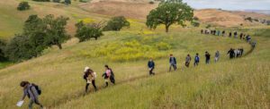 kids hiking at Mangini Ranch Educational Preserve
