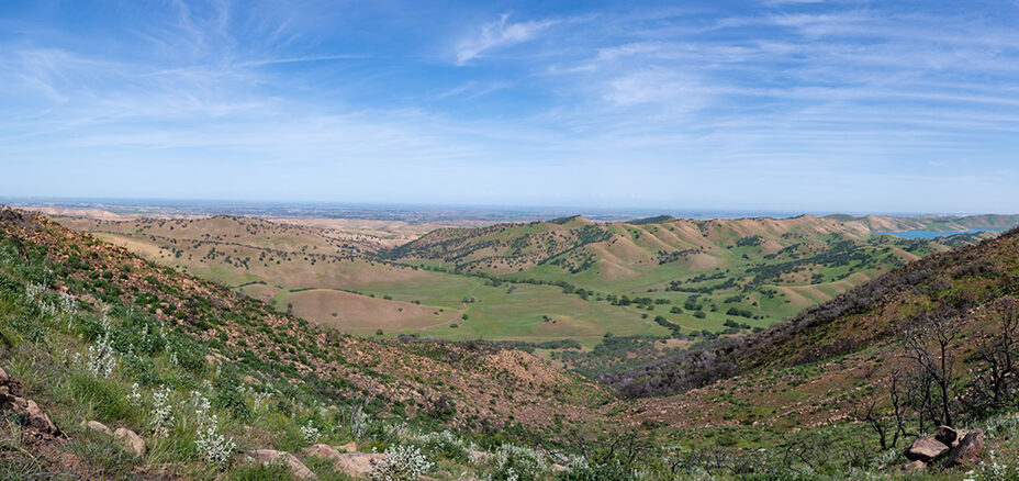 large panoramic photo of a valley recovering from a fire