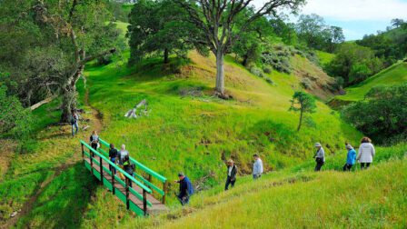 a group walking over a bridge