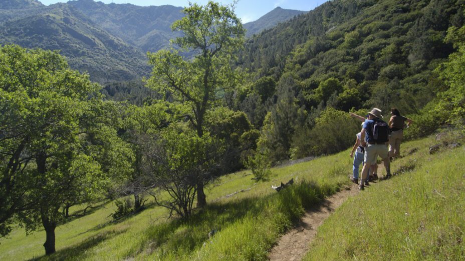 hikers on a trail overlooking a canyon with trees