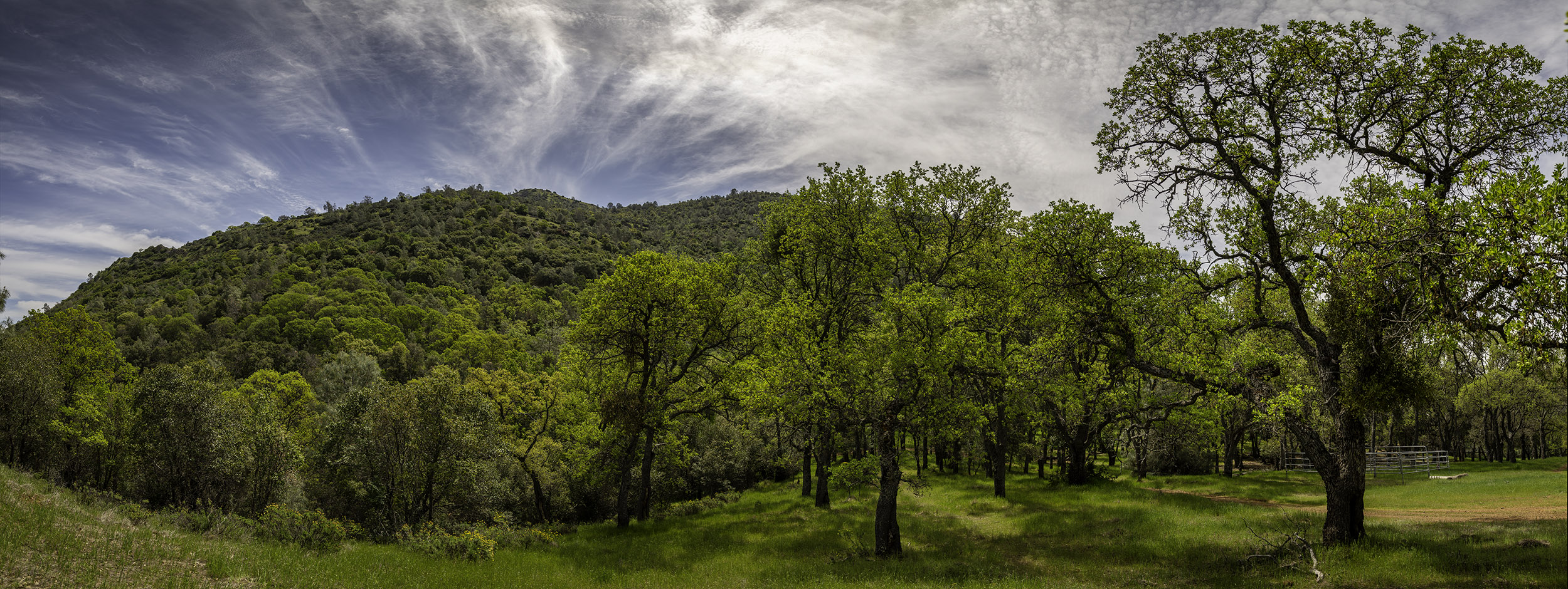 Nature Journaling: The Art of Observing Nature - Save Mount Diablo