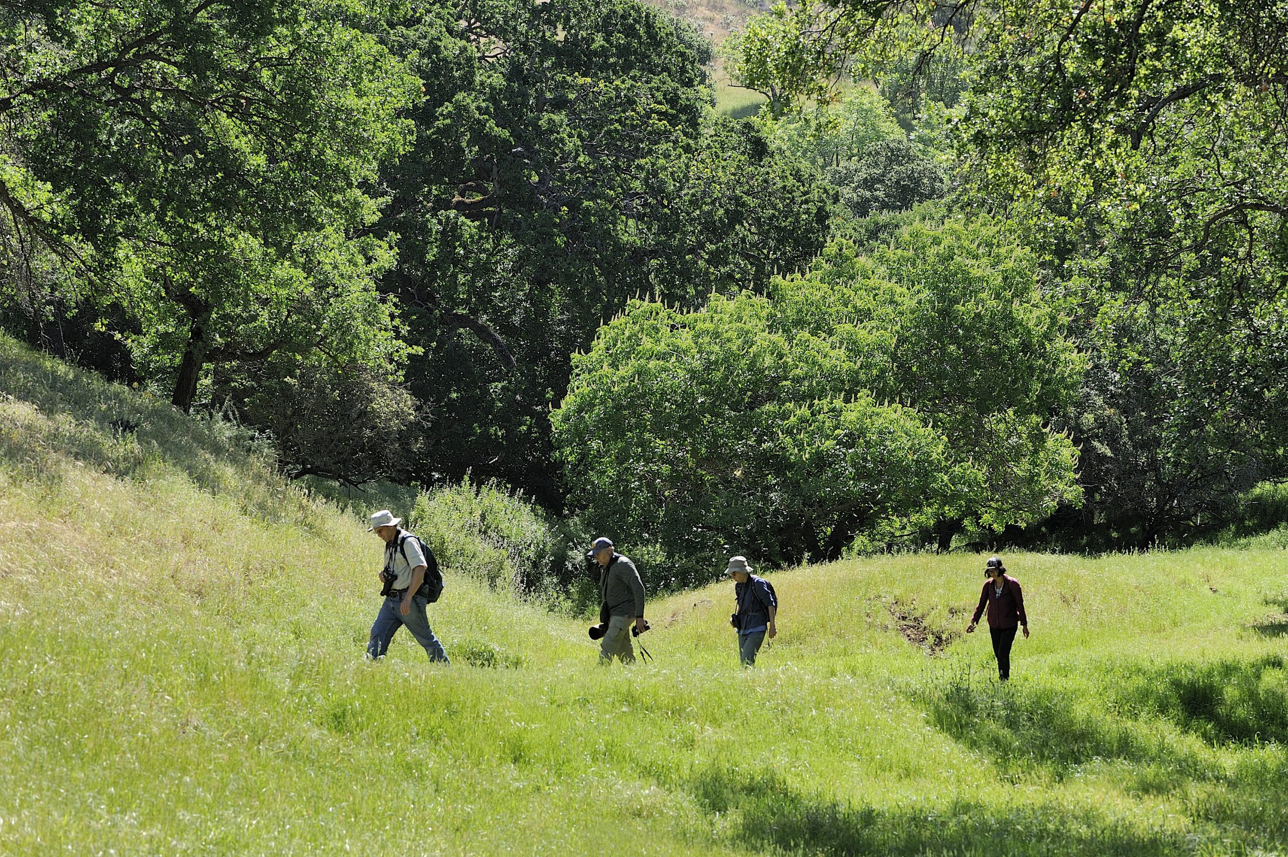 Hikers in ta secluded preserve