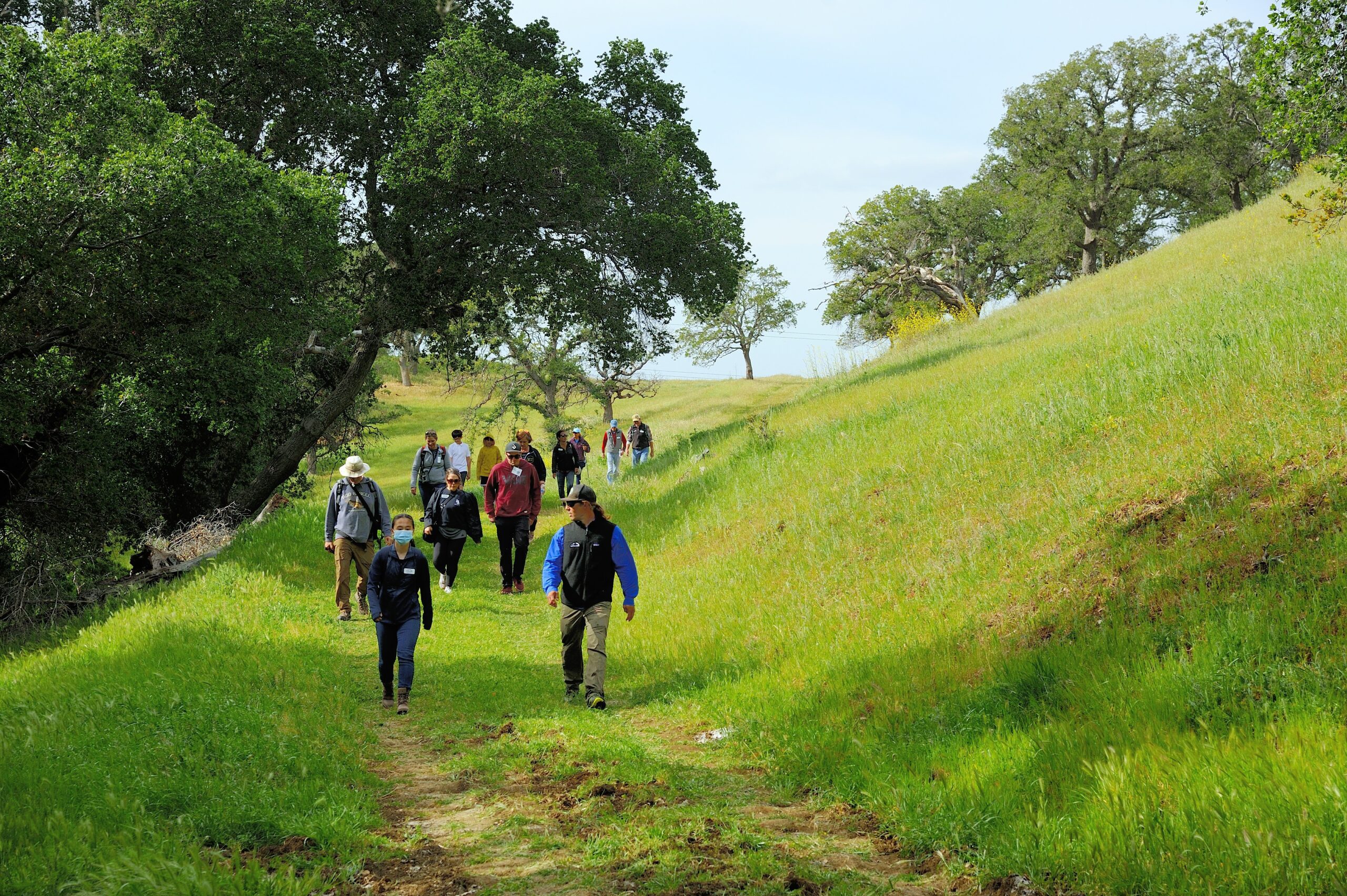 Hiking among green fields in a secluded preserve