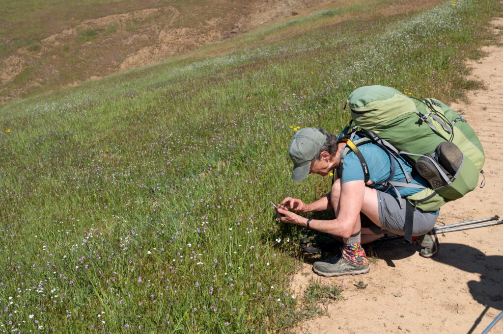 Ohlone Wilderness Backpack BioBlitz