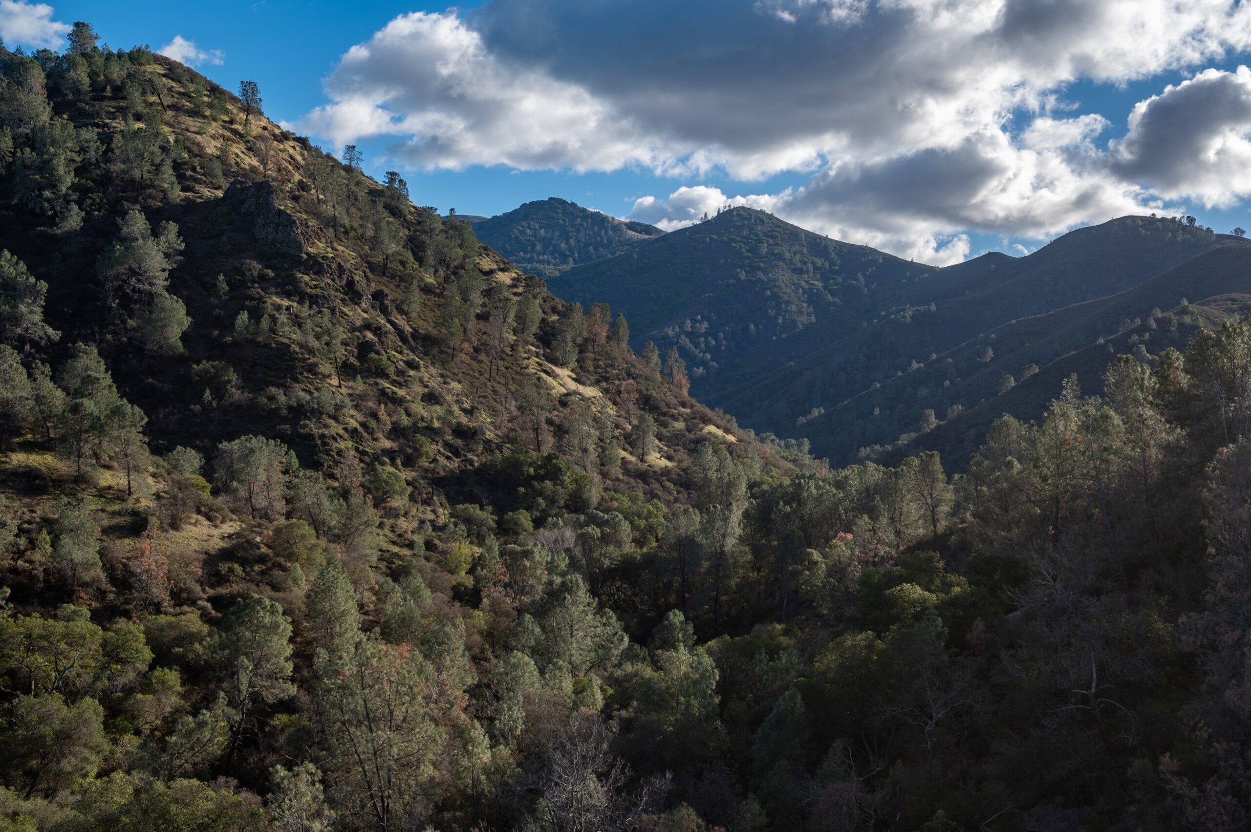 Black Point mount diablo state park