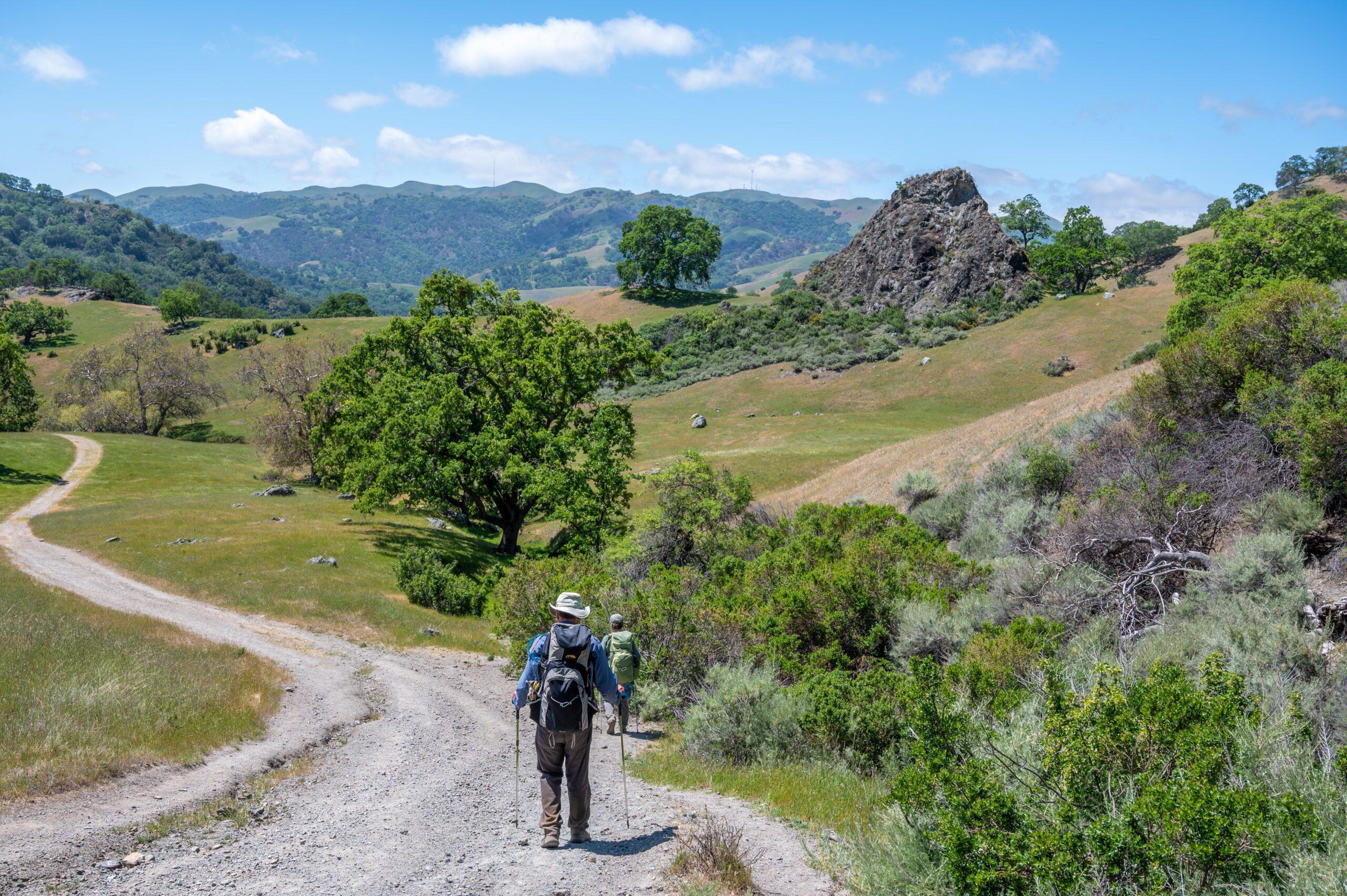 Ohlone Wilderness Backpack BioBlitz