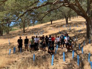 large group of people with dozens of planted trees in tubes
