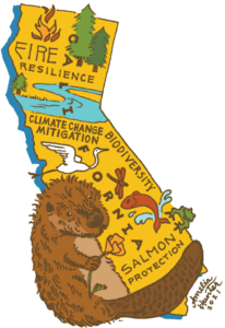drawing of a beaver hugging an outline of California
