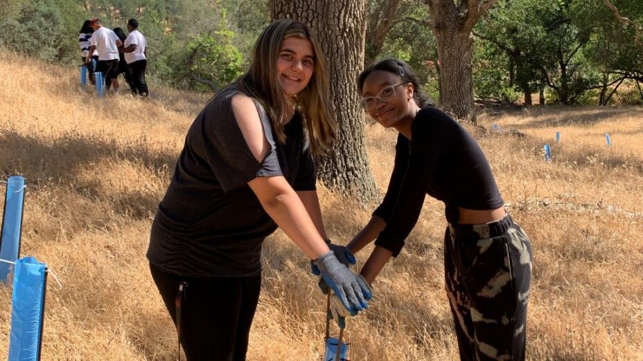 two volunteers with a tubed tree