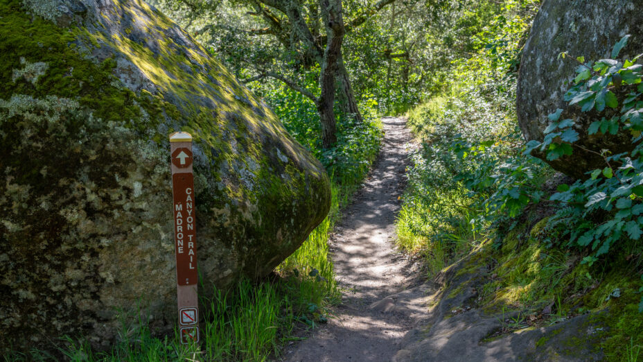 Madrone Canyon
