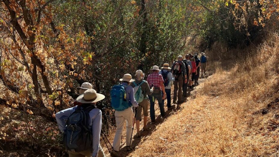 a line of people hiking on a single track trail