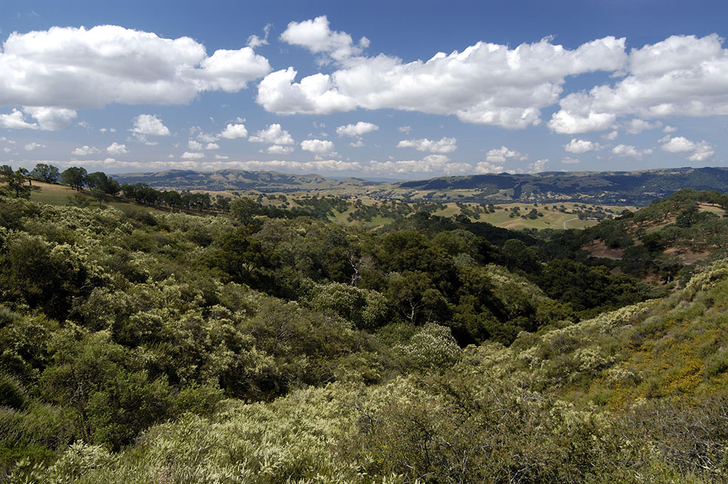 Scattered clouds over rolling green foothills of Mount Diablo