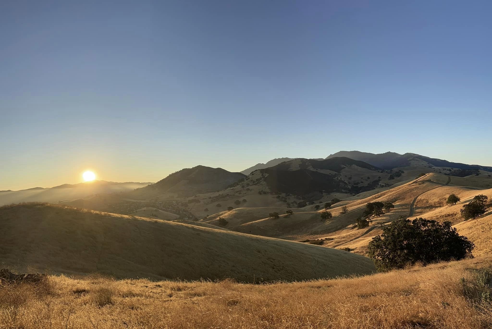 Lime Ridge in summer at sunrise