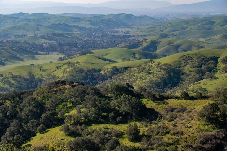 Riggs Canyon and Finley Road Ranch