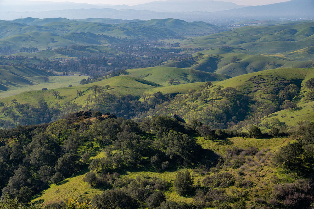 Home - Save Mount Diablo