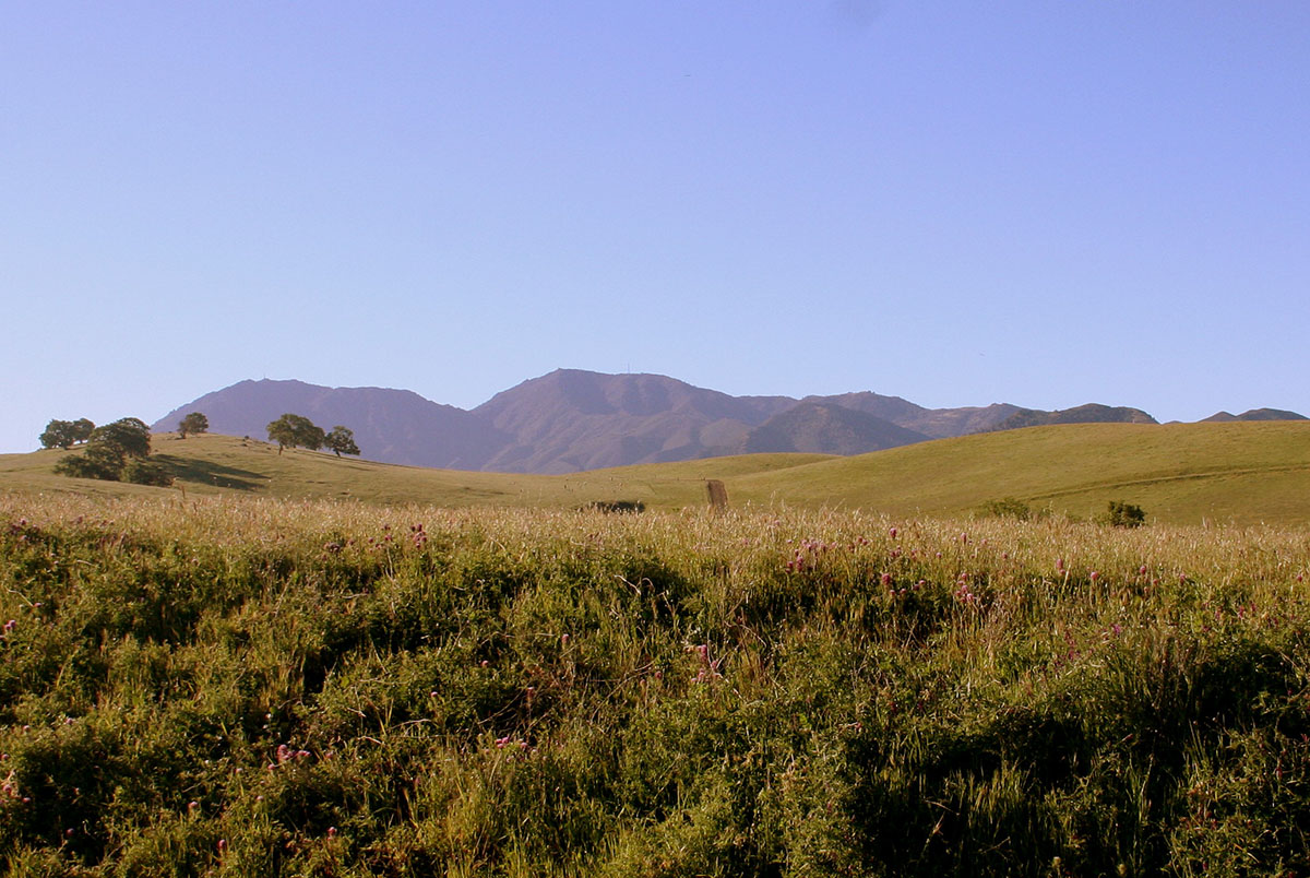 View of Mount Diablo from the former Concord Naval Weapons Station 
