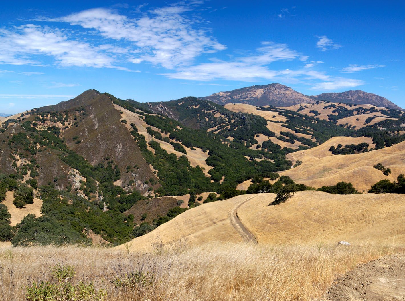 View west along the Black Hills to Finley Road Ranch. Oyster Point, Jackass Canyon, and Riggs Canyon are on the right with Mount Diablo above. Photo: Scott Hein