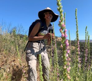 Denise Castro at Henry Coe State Park during Save Mount Diablo's 2022 BioBlitz