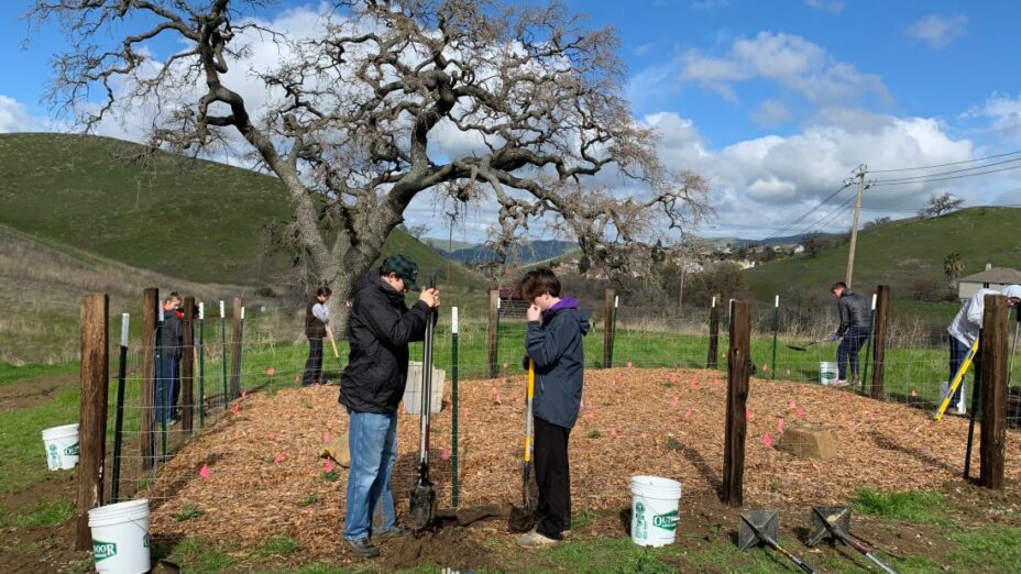 conservation collaboration agreement service project at mangini