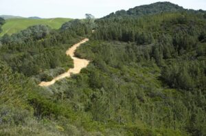 The Knobcone Point Road trail segment travels along the ridgeline from Knobcone Point to Riggs Canyon. Photo: Scott Hein