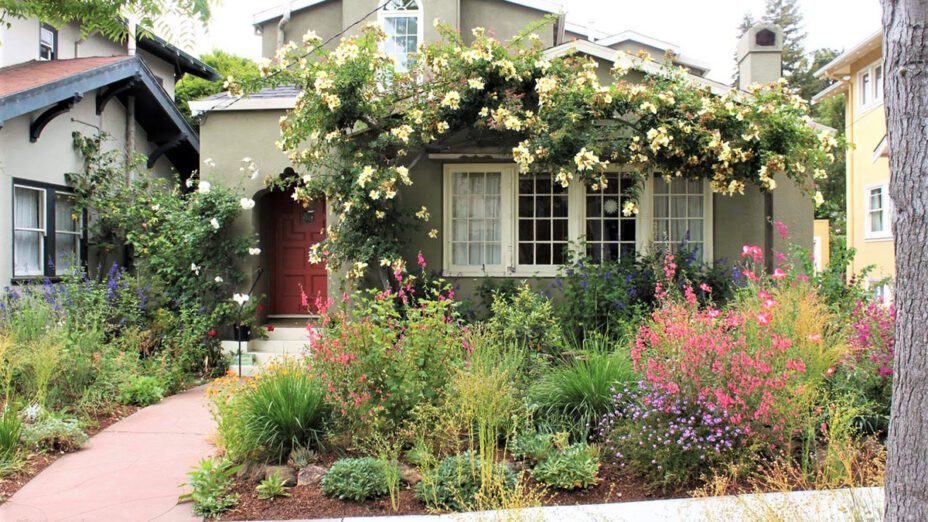 native plant garden