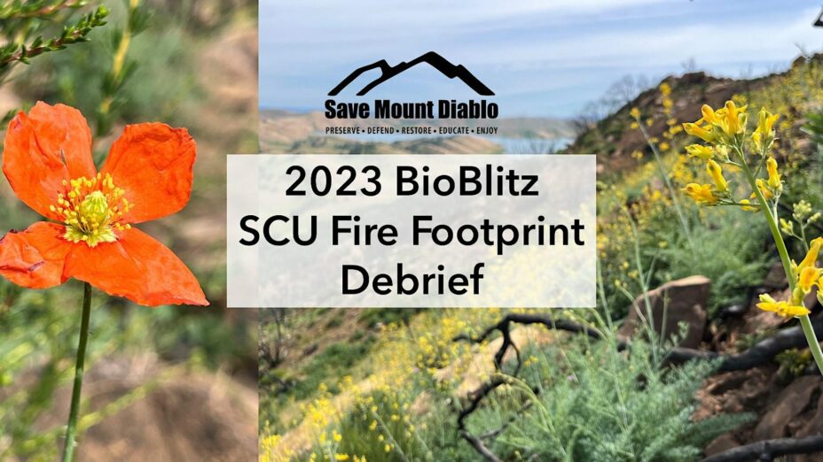 Mount Diablo Challenge Save Mount Diablo