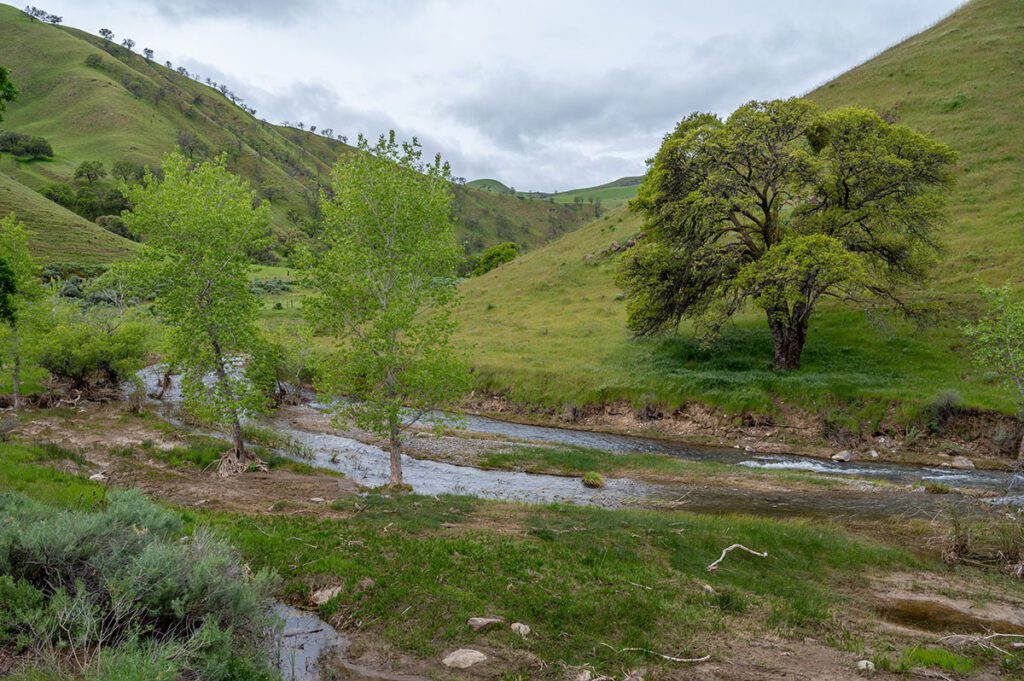 Discovering Del Puerto Canyon Save Mount Diablo