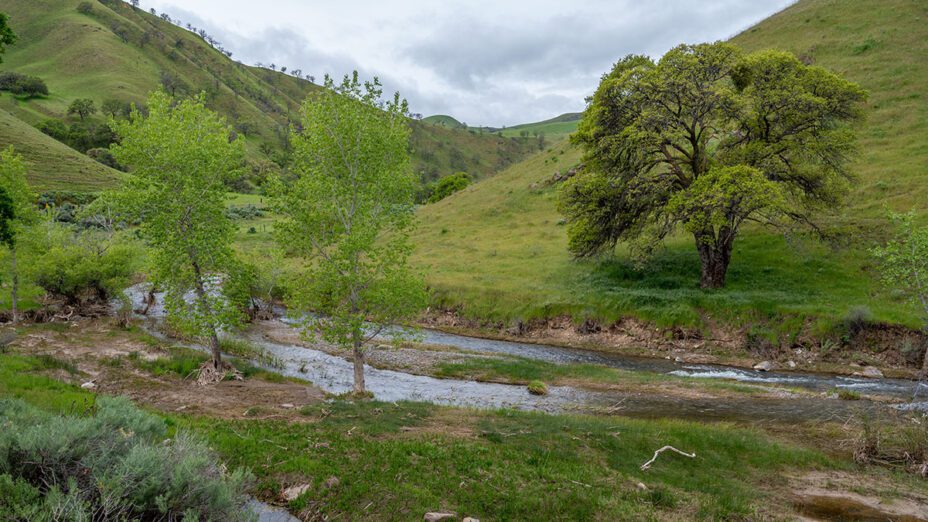 Del Puerto Canyon and Del Puerto Creek