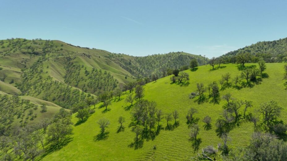 green del puerto canyon