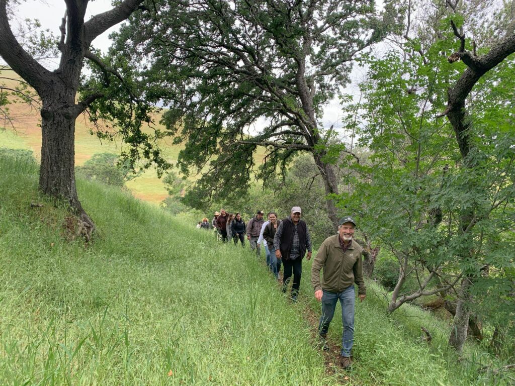 group hike through mangini