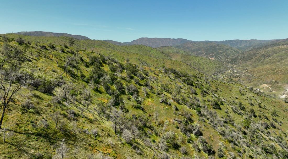 Discovering Del Puerto Canyon Save Mount Diablo