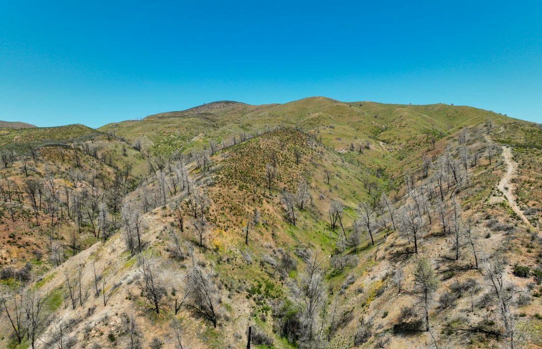 Discovering Del Puerto Canyon Save Mount Diablo