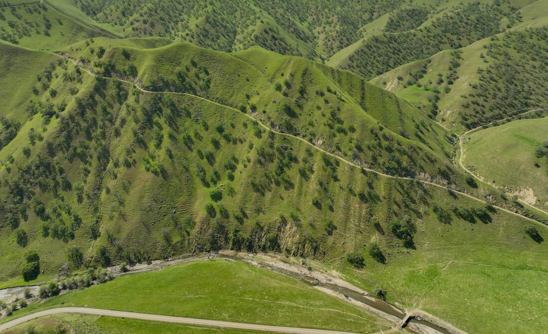 Discovering Del Puerto Canyon Save Mount Diablo