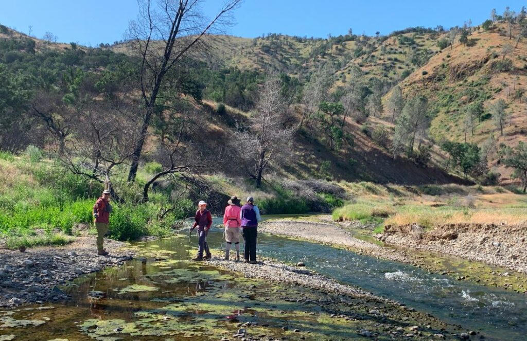 Discovering Del Puerto Canyon Save Mount Diablo