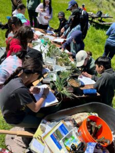 kids learn about native plants