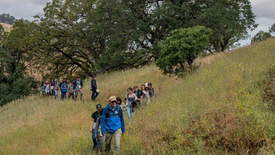 group hike through mangini preserve