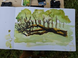 plen air painting of oak trees