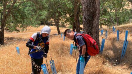 kids installing protective tree tubes