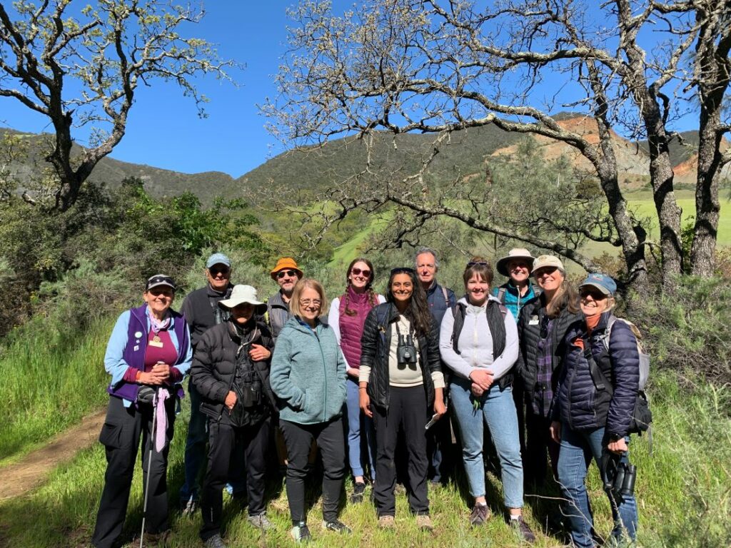 medicinal herb walk in mitchell canyon 2023
