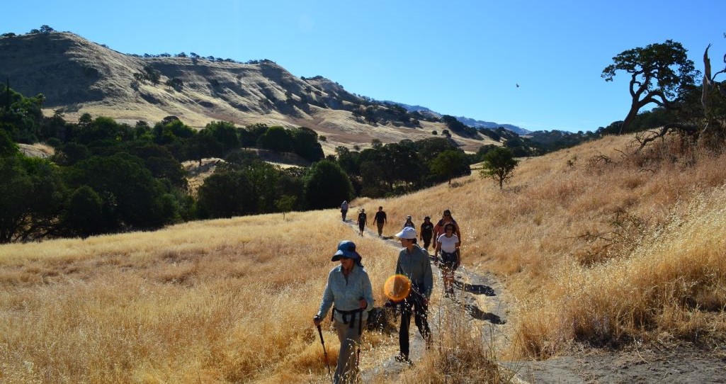 Nature Journaling: The Art of Observing Nature - Save Mount Diablo