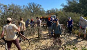 volunteers wood chipping dead trees at Pine Canyon